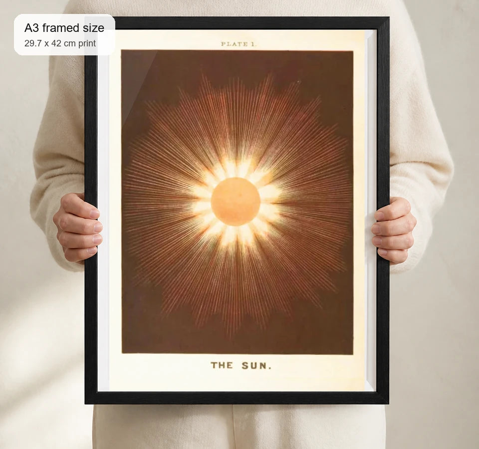 Size reference for A3 · Black Gallery Frame - gallery image 4 of 5