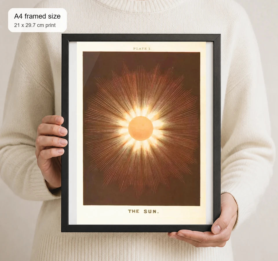 Size reference for A4 · Black Gallery Frame - gallery image 4 of 5