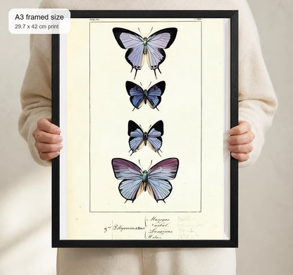 Size reference for A3 · Black Gallery Frame - gallery image 4 of 5