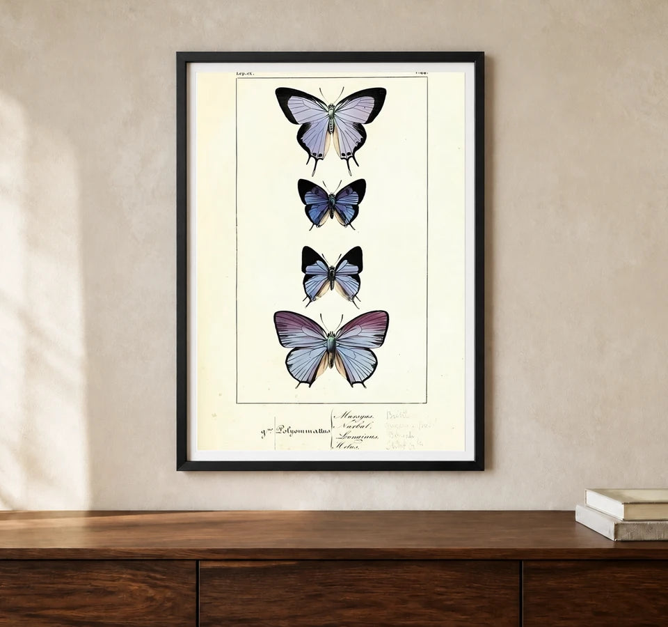 Product-focused lifestyle view of A4 · Black Gallery Frame - gallery image 1 of 5