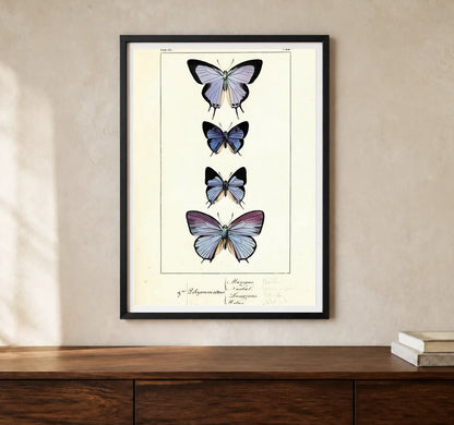 Product-focused lifestyle view of A4 · Black Gallery Frame - gallery image 1 of 5