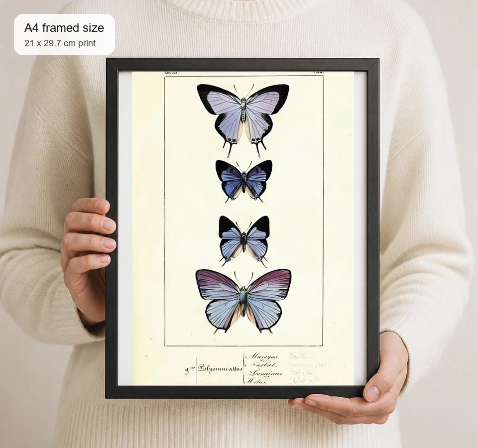 Size reference for A4 · Black Gallery Frame - gallery image 4 of 5