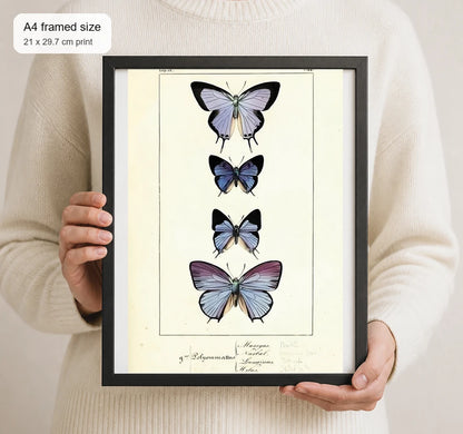 Size reference for A4 · Black Gallery Frame - gallery image 4 of 5