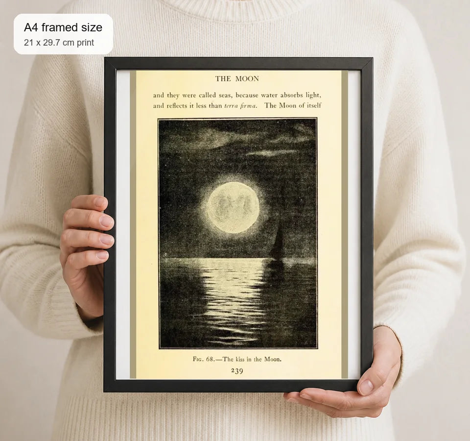 Size reference for A4 · Black Gallery Frame - gallery image 4 of 5