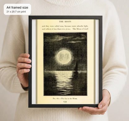 Size reference for A4 · Black Gallery Frame - gallery image 4 of 5
