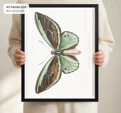 Size reference for A3 · Black Gallery Frame - gallery image 4 of 5