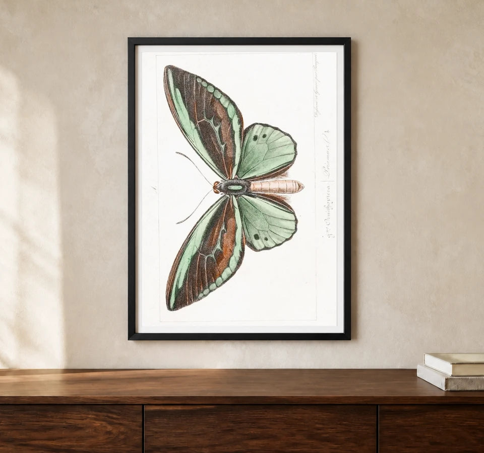 Product-focused lifestyle view of A4 · Black Gallery Frame - gallery image 1 of 5