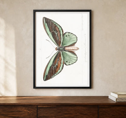 Product-focused lifestyle view of A4 · Black Gallery Frame - gallery image 1 of 5