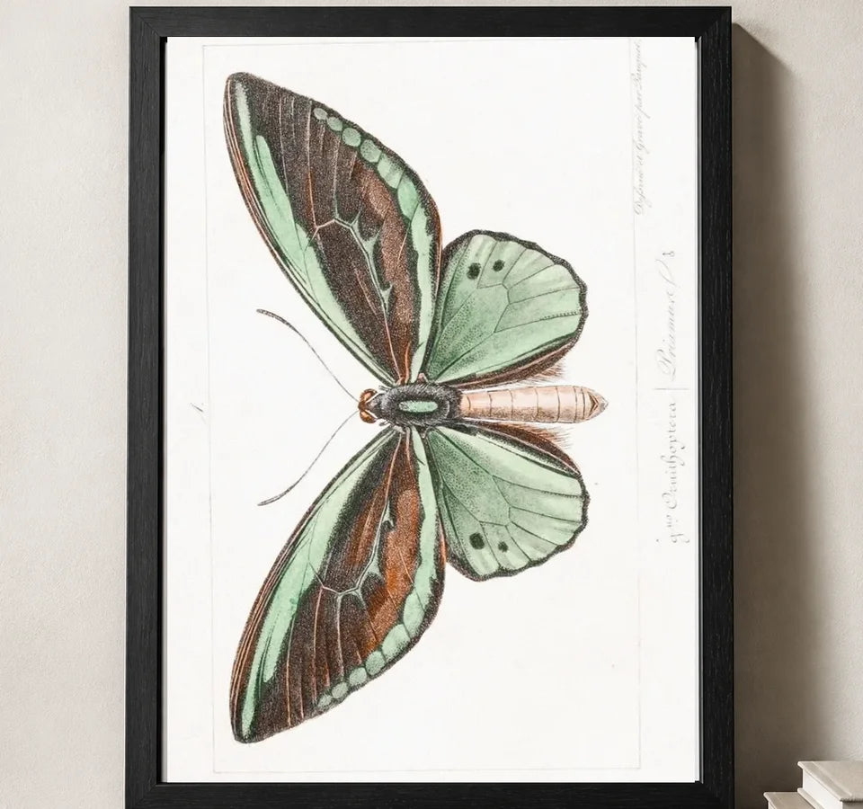 Styled close-up of A4 · Black Gallery Frame - gallery image 3 of 5