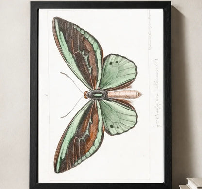 Styled close-up of A4 · Black Gallery Frame - gallery image 3 of 5