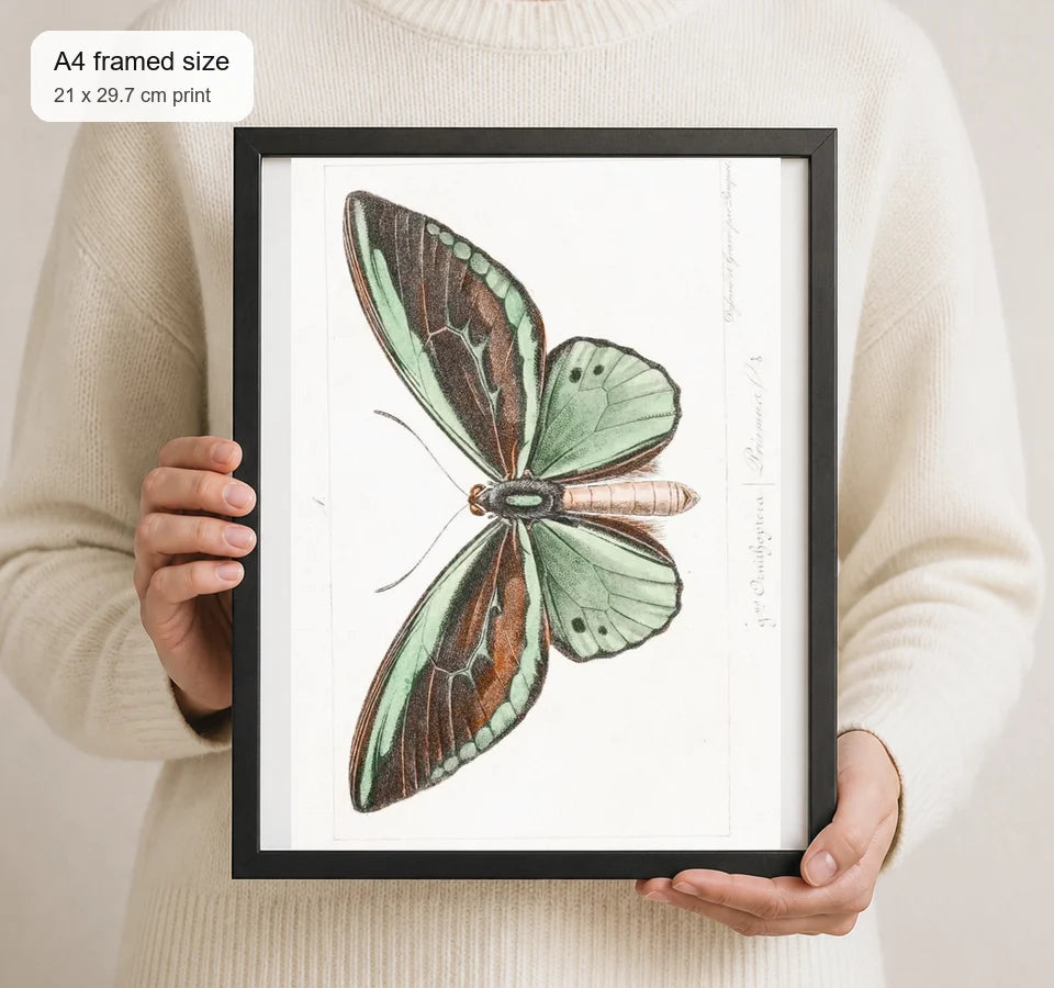 Size reference for A4 · Black Gallery Frame - gallery image 4 of 5