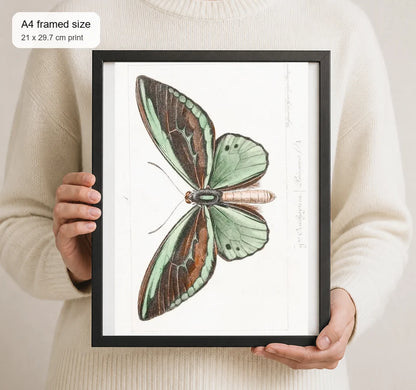 Size reference for A4 · Black Gallery Frame - gallery image 4 of 5